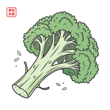 矢量插圖蔬菜綠色菜花