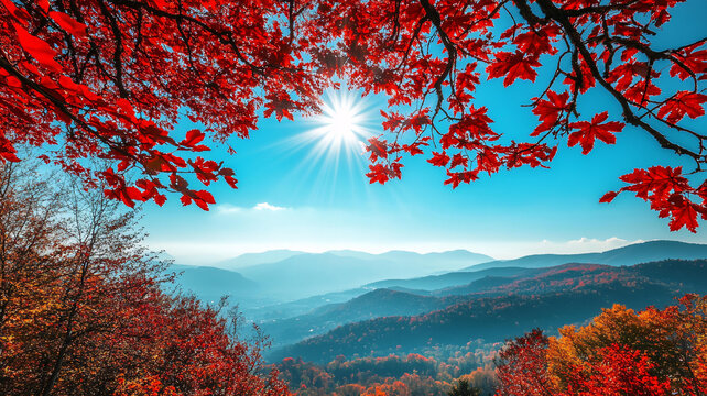 楓樹滿山紅葉