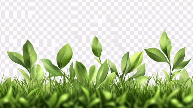 綠草葉素材
