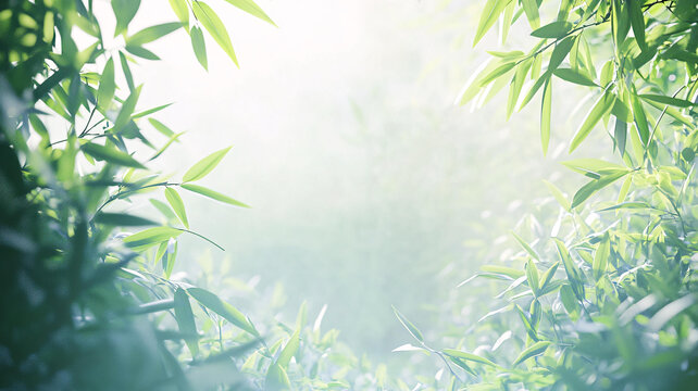唯美竹葉背景