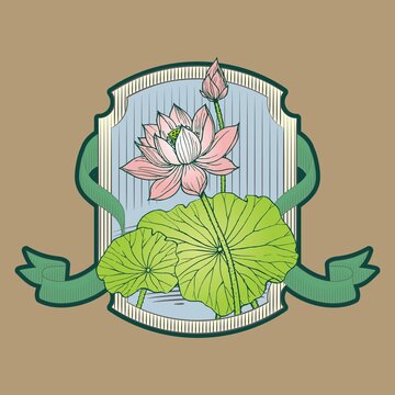 荷花插畫