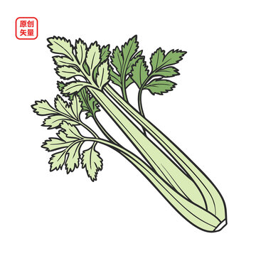 矢量插圖簡(jiǎn)約蔬菜芹菜