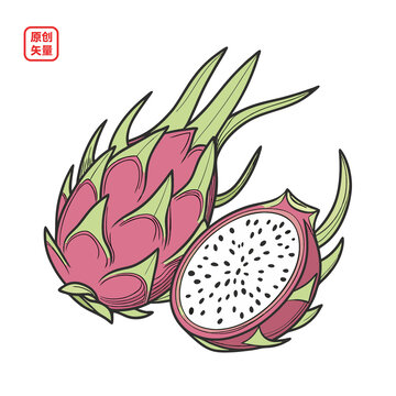 矢量插圖簡約水果火龍果