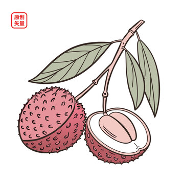 矢量插圖簡約水果荔枝