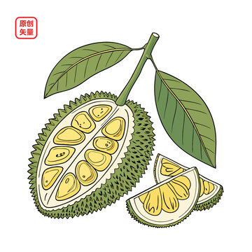 矢量插圖簡約水果榴蓮
