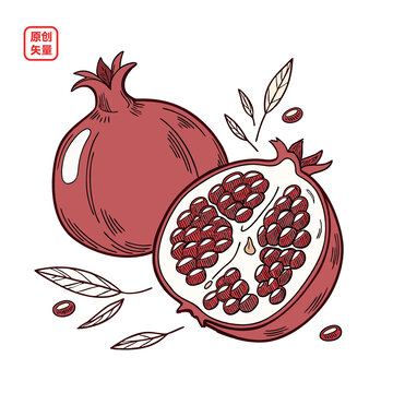 矢量插圖簡約水果石榴