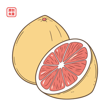 矢量插圖簡約水果柚子