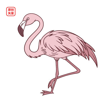 矢量插圖動(dòng)物鳥(niǎo)非洲火烈鳥(niǎo)