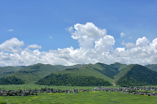 鄉村夏日