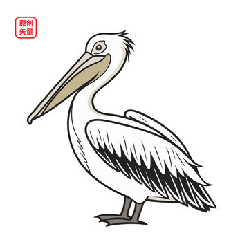矢量插圖動(dòng)物鳥鵜鶘