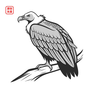 矢量插圖動物石頭上禿鷲