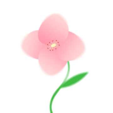 手繪小花