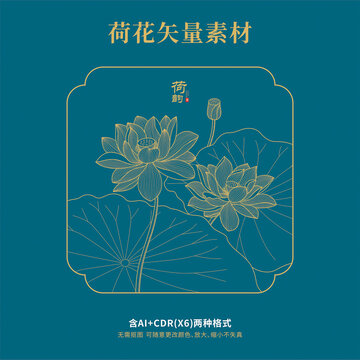 手繪線描荷花