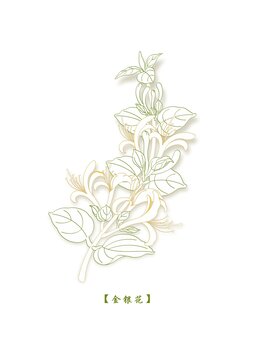 金銀花矢量線稿
