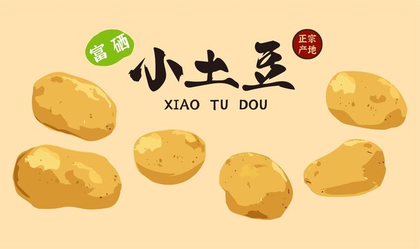 土豆插畫
