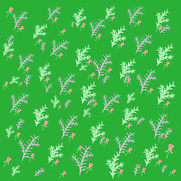 玫瑰花與小草