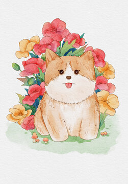 小狗虞美人