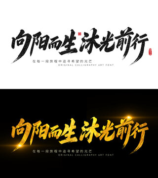 向陽而生沐光前行