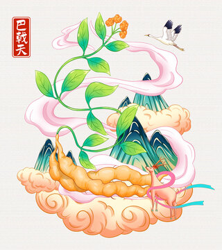 巴戟天插畫手繪