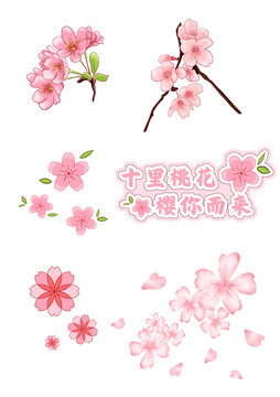 櫻花素材