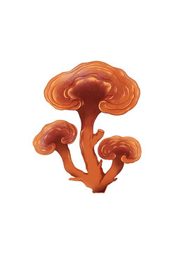 靈芝元素
