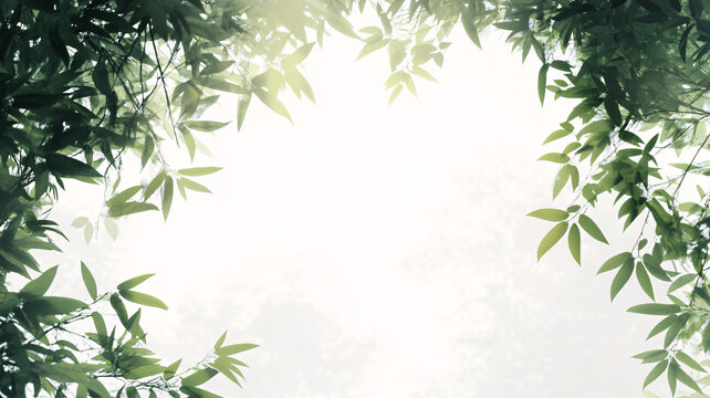 唯美竹葉背景
