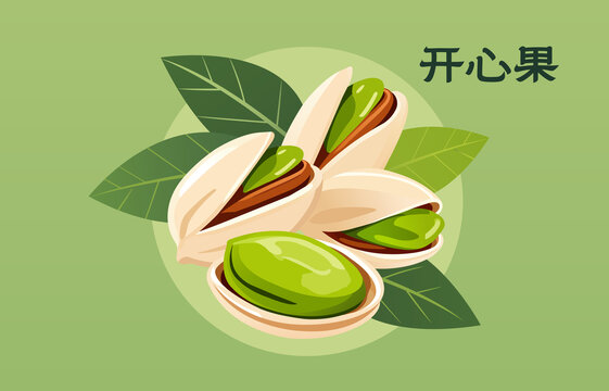 開心果插畫