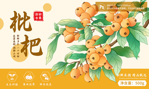 枇杷包裝插畫設(shè)計