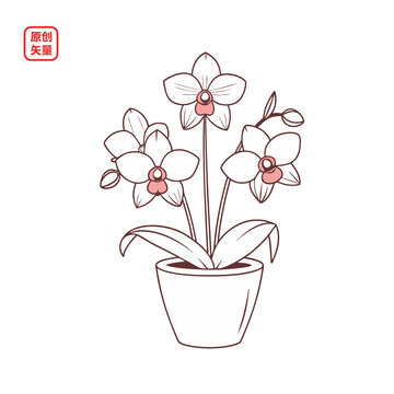 矢量插圖植物簡(jiǎn)約一盆蘭花