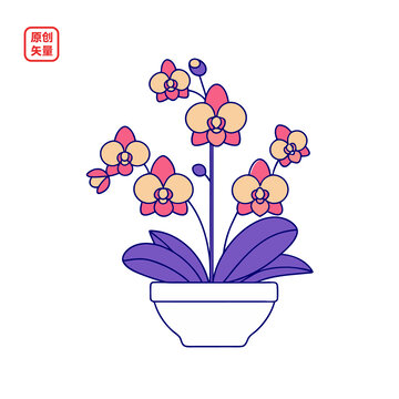 矢量插圖植物簡約扁平化盆栽蘭花