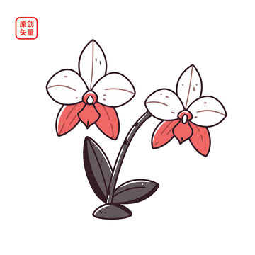 矢量插圖植物簡(jiǎn)約蘭花