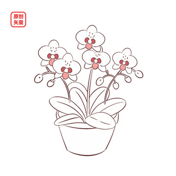 矢量插圖植物簡(jiǎn)約一盆蘭花