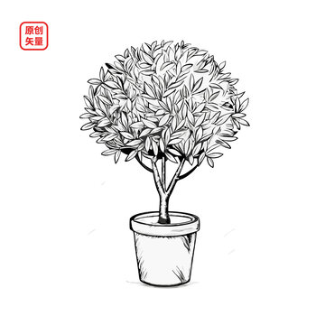 矢量插圖植物素描一顆盆栽綠植