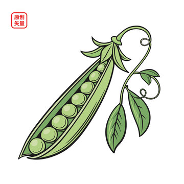 矢量插圖簡約蔬菜綠色豌豆