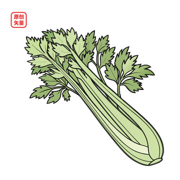 矢量插圖簡(jiǎn)約蔬菜芹菜