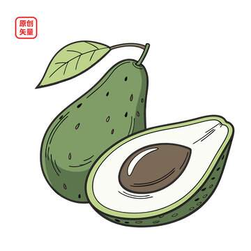 矢量插圖簡約水果鱷梨
