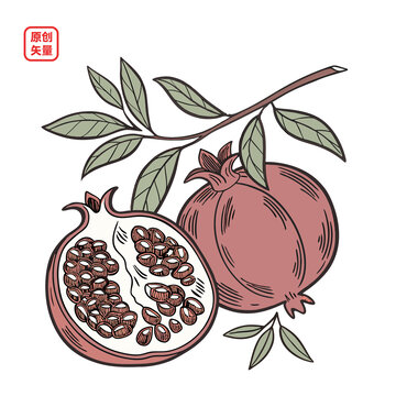 矢量插圖簡約水果石榴