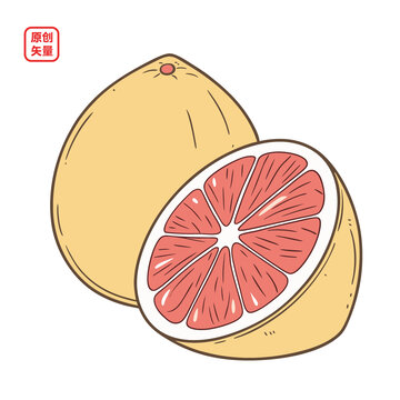 矢量插圖簡(jiǎn)約水果柚子