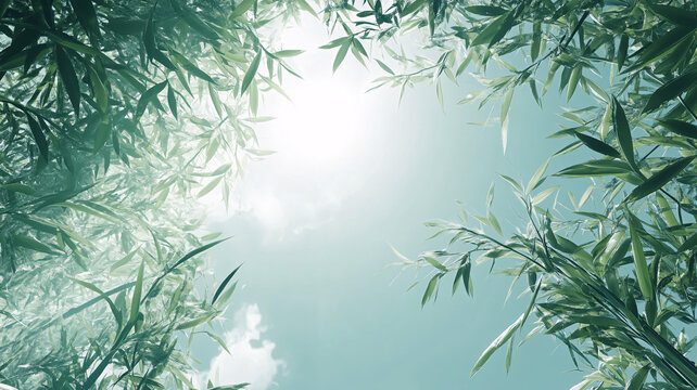 唯美竹影竹韻