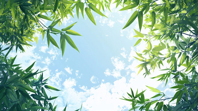 唯美竹葉背景
