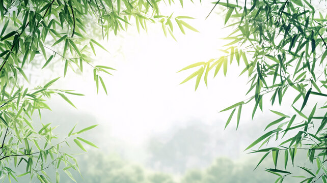 唯美竹葉背景