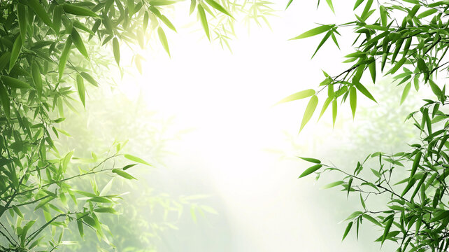 唯美竹林背景