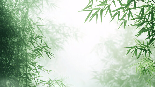 唯美竹影竹韻