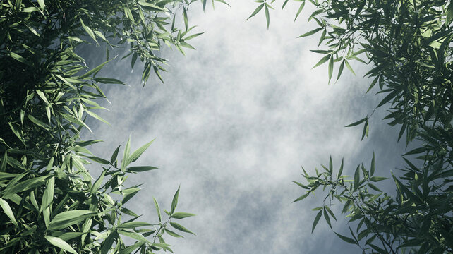 藍(lán)天竹葉背景