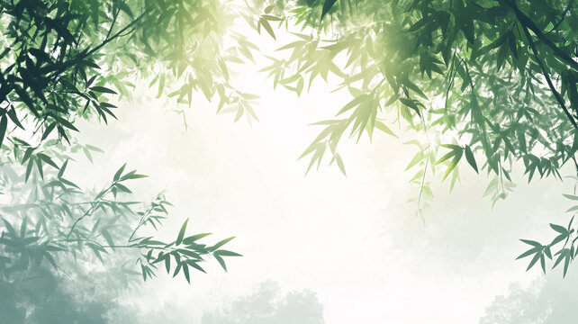 唯美竹影竹韻