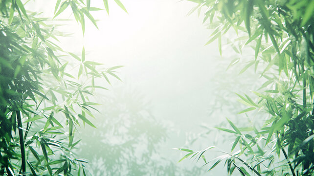 唯美竹林背景