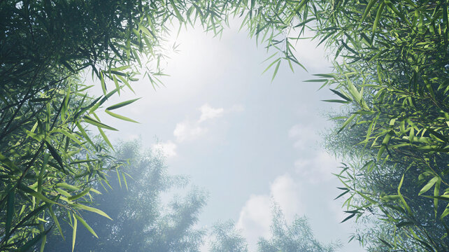 綠竹藍(lán)天白云