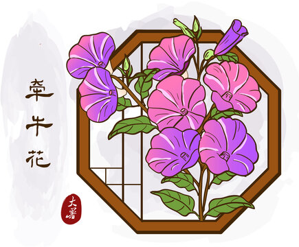 喇叭花
