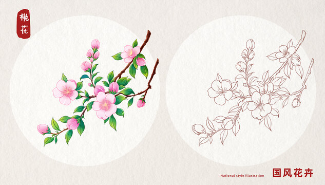 桃花插畫