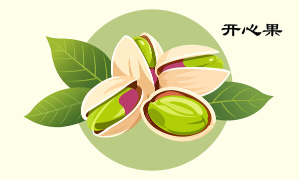 開心果包裝插畫